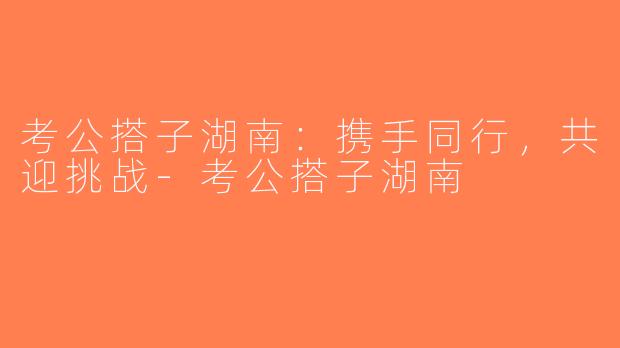 考公搭子湖南：携手同行，共迎挑战-考公搭子湖南