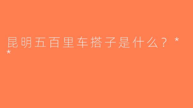 昆明五百里车搭子是什么？**