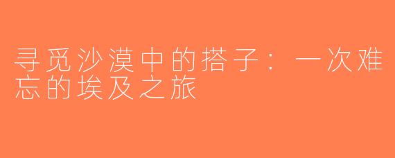 寻觅沙漠中的搭子：一次难忘的埃及之旅