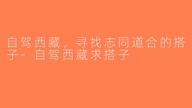 自驾西藏，寻找志同道合的搭子-自驾西藏求搭子