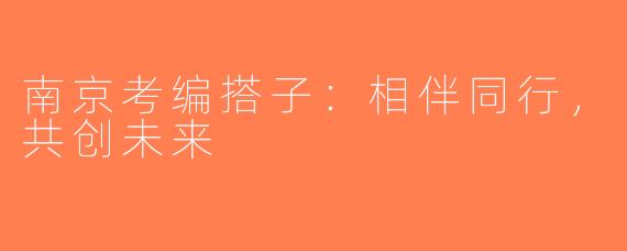 南京考编搭子：相伴同行，共创未来