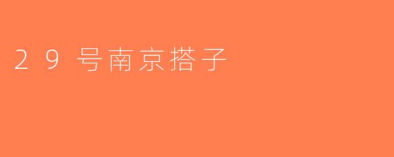 29号南京搭子