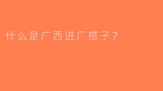 什么是广西进厂搭子？  