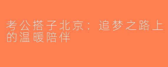 考公搭子北京：追梦之路上的温暖陪伴
