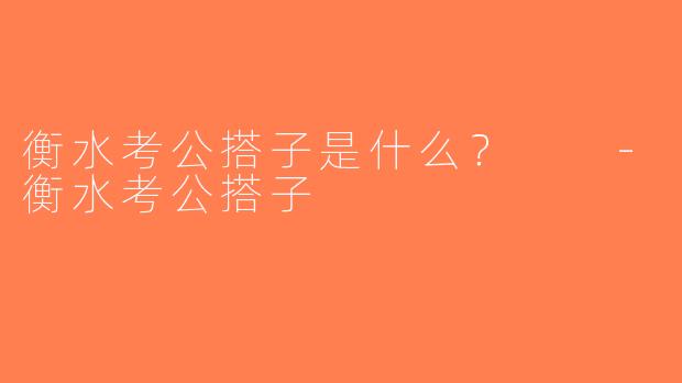 衡水考公搭子是什么？  -衡水考公搭子