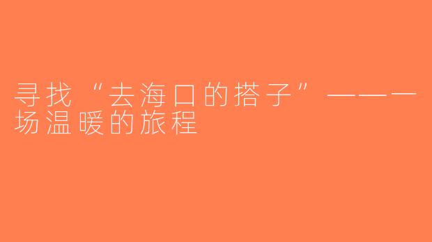 寻找“去海口的搭子”——一场温暖的旅程