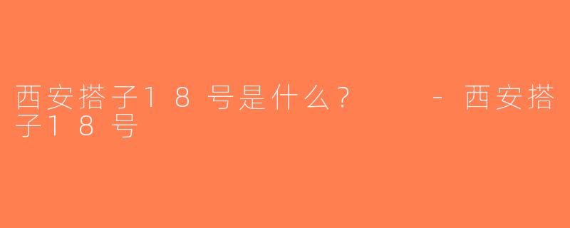 西安搭子18号是什么？  -西安搭子18号