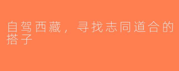 自驾西藏，寻找志同道合的搭子