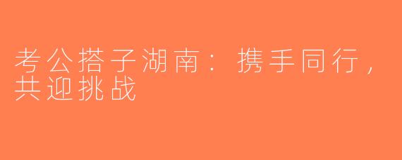 考公搭子湖南：携手同行，共迎挑战