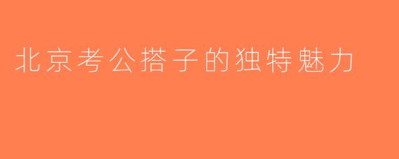 北京考公搭子的独特魅力