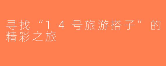 寻找“14号旅游搭子”的精彩之旅