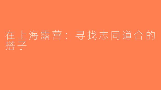 在上海露营：寻找志同道合的搭子