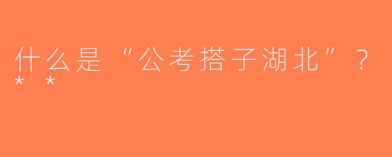 什么是“公考搭子湖北”？**