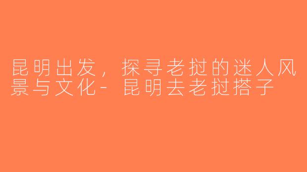 昆明出发，探寻老挝的迷人风景与文化-昆明去老挝搭子