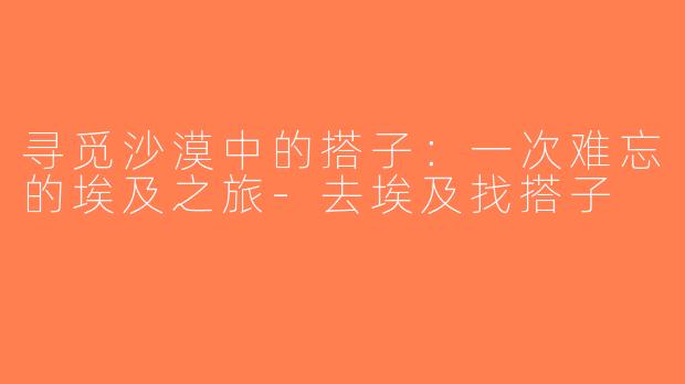 寻觅沙漠中的搭子：一次难忘的埃及之旅-去埃及找搭子