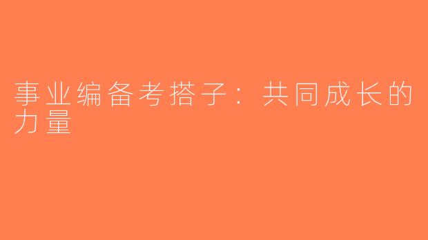 事业编备考搭子：共同成长的力量