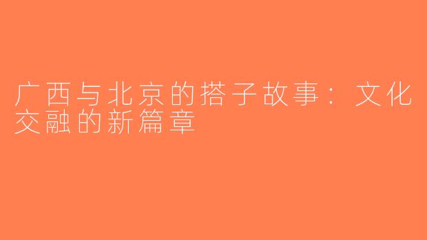 广西与北京的搭子故事：文化交融的新篇章