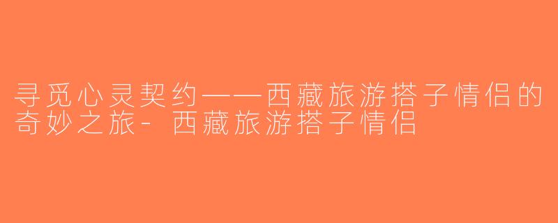 寻觅心灵契约——西藏旅游搭子情侣的奇妙之旅-西藏旅游搭子情侣