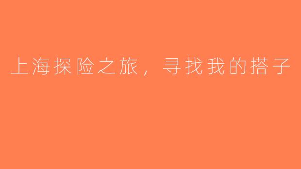 上海探险之旅，寻找我的搭子