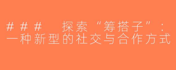 ### 探索“筹搭子”：一种新型的社交与合作方式