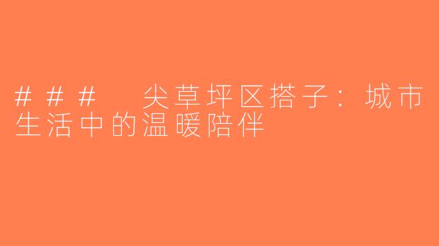### 尖草坪区搭子：城市生活中的温暖陪伴