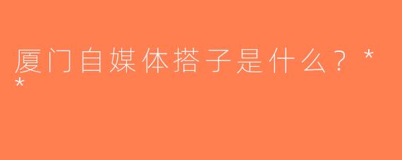 厦门自媒体搭子是什么？**