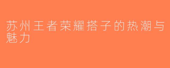 苏州王者荣耀搭子的热潮与魅力