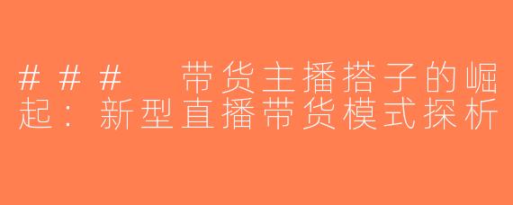 ### 带货主播搭子的崛起：新型直播带货模式探析