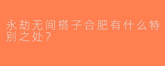 永劫无间搭子合肥有什么特别之处？