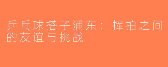 乒乓球搭子浦东：挥拍之间的友谊与挑战