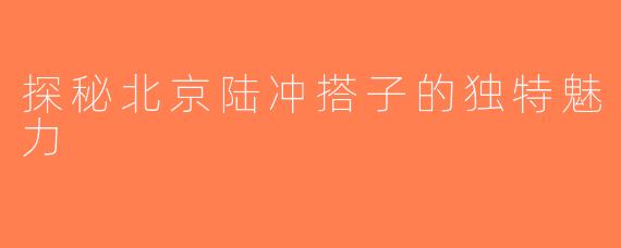 探秘北京陆冲搭子的独特魅力