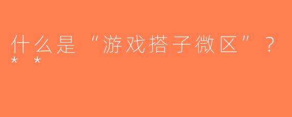 什么是“游戏搭子微区”？**