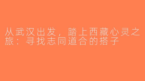 从武汉出发，踏上西藏心灵之旅：寻找志同道合的搭子