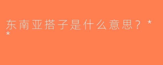 东南亚搭子是什么意思？**