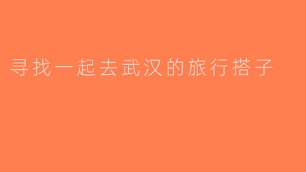 寻找一起去武汉的旅行搭子