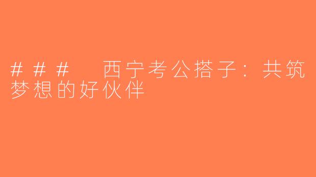 ### 西宁考公搭子：共筑梦想的好伙伴