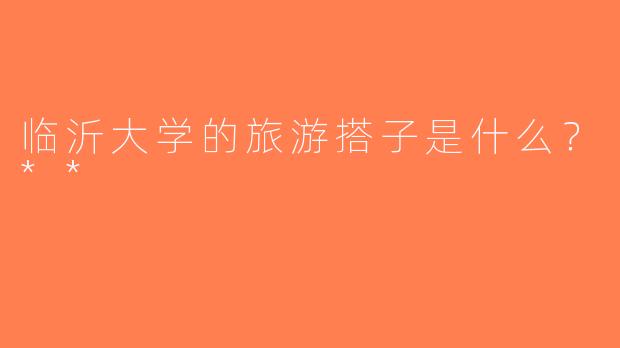 临沂大学的旅游搭子是什么？**