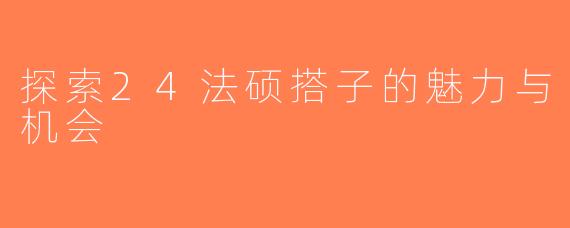 探索24法硕搭子的魅力与机会