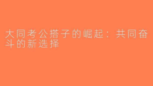 大同考公搭子的崛起：共同奋斗的新选择