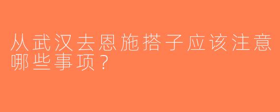 从武汉去恩施搭子应该注意哪些事项？  