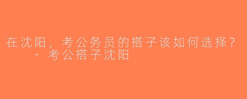 在沈阳，考公务员的搭子该如何选择？  -考公搭子沈阳