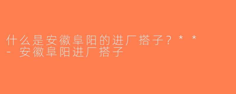 什么是安徽阜阳的进厂搭子？**  -安徽阜阳进厂搭子