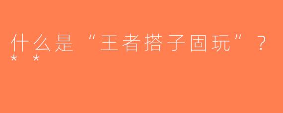 什么是“王者搭子固玩”？**