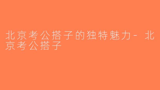 北京考公搭子的独特魅力-北京考公搭子