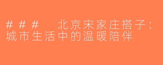 ### 北京宋家庄搭子：城市生活中的温暖陪伴