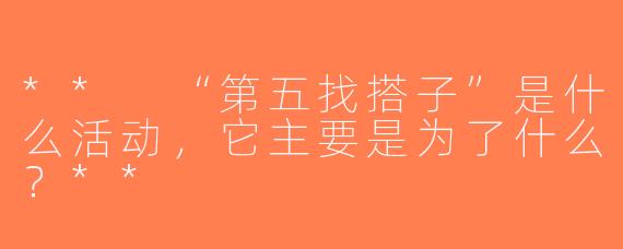 ** “第五找搭子”是什么活动，它主要是为了什么？**