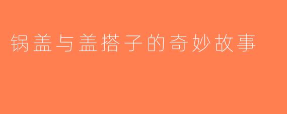 锅盖与盖搭子的奇妙故事