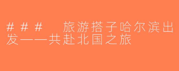 ### 旅游搭子哈尔滨出发——共赴北国之旅