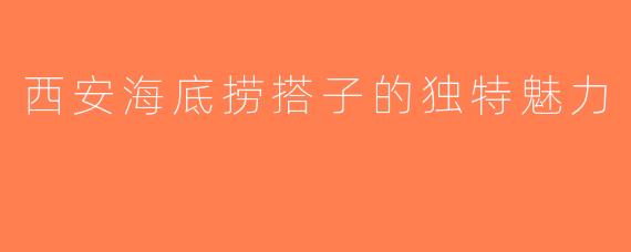 西安海底捞搭子的独特魅力