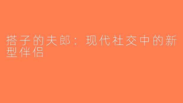 搭子的夫郎：现代社交中的新型伴侣